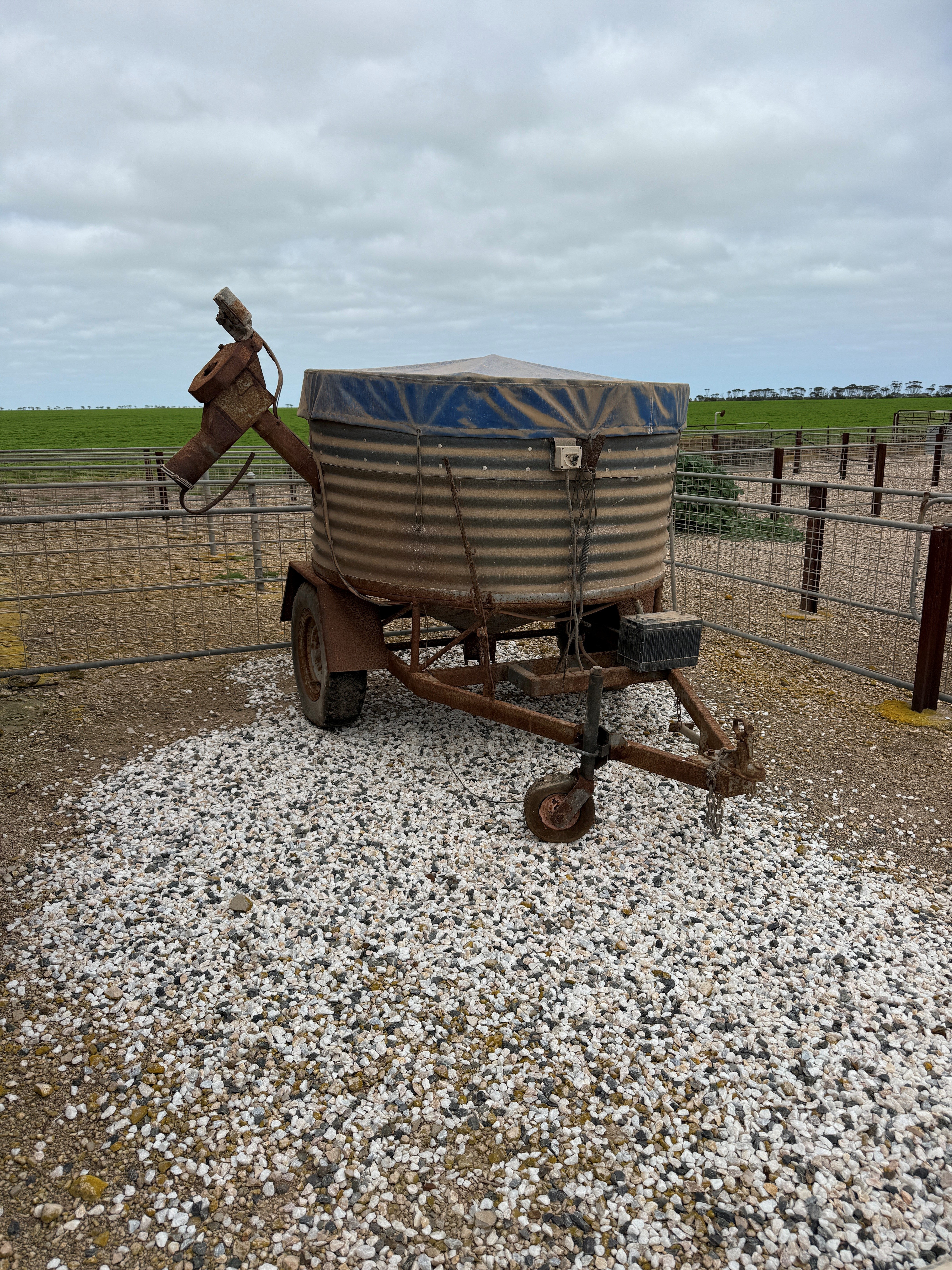Sheep Feeder